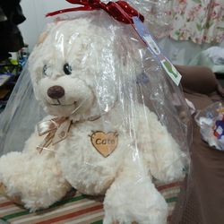 New Wrap 🎁 Gift Teddy 🧸 