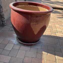 POT