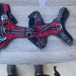 Dog Harness