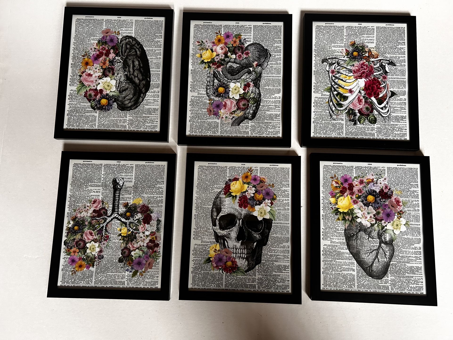 Floral Anatomy Print,Picture,Art on dictionary page