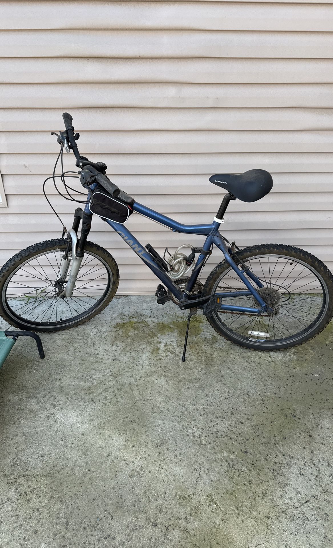 Giant Bike