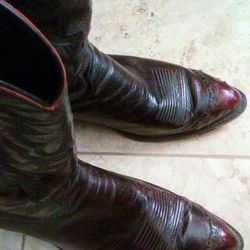 Dan Post Boots, 9 1/2 EW