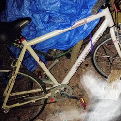 Motobecane Cafe Express 3