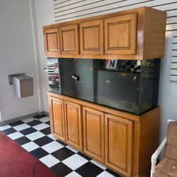 Beautiful 160 Gallon Freshwater Fish Tank with Stand & Cabinet 