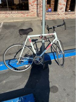 Track bicycle
