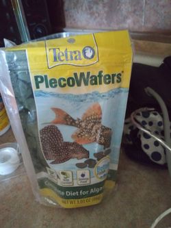 Algae food