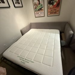Sofa Sleeper So Comfy  (sleeper In Seattle)