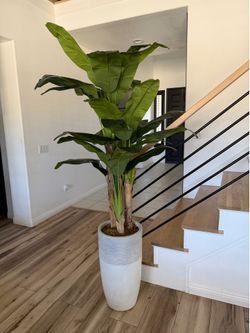Large Artificial Bird of Paradise Plant in Decorative Pot – 5-6 Ft Tall