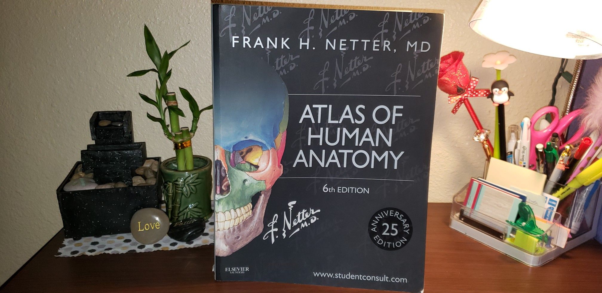 Atlas of Human Anatomy 6th ed