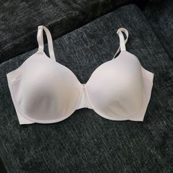 42 DDD/F BRA & 40 DDD/F