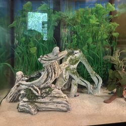 30 GAL Fish tank & Stand