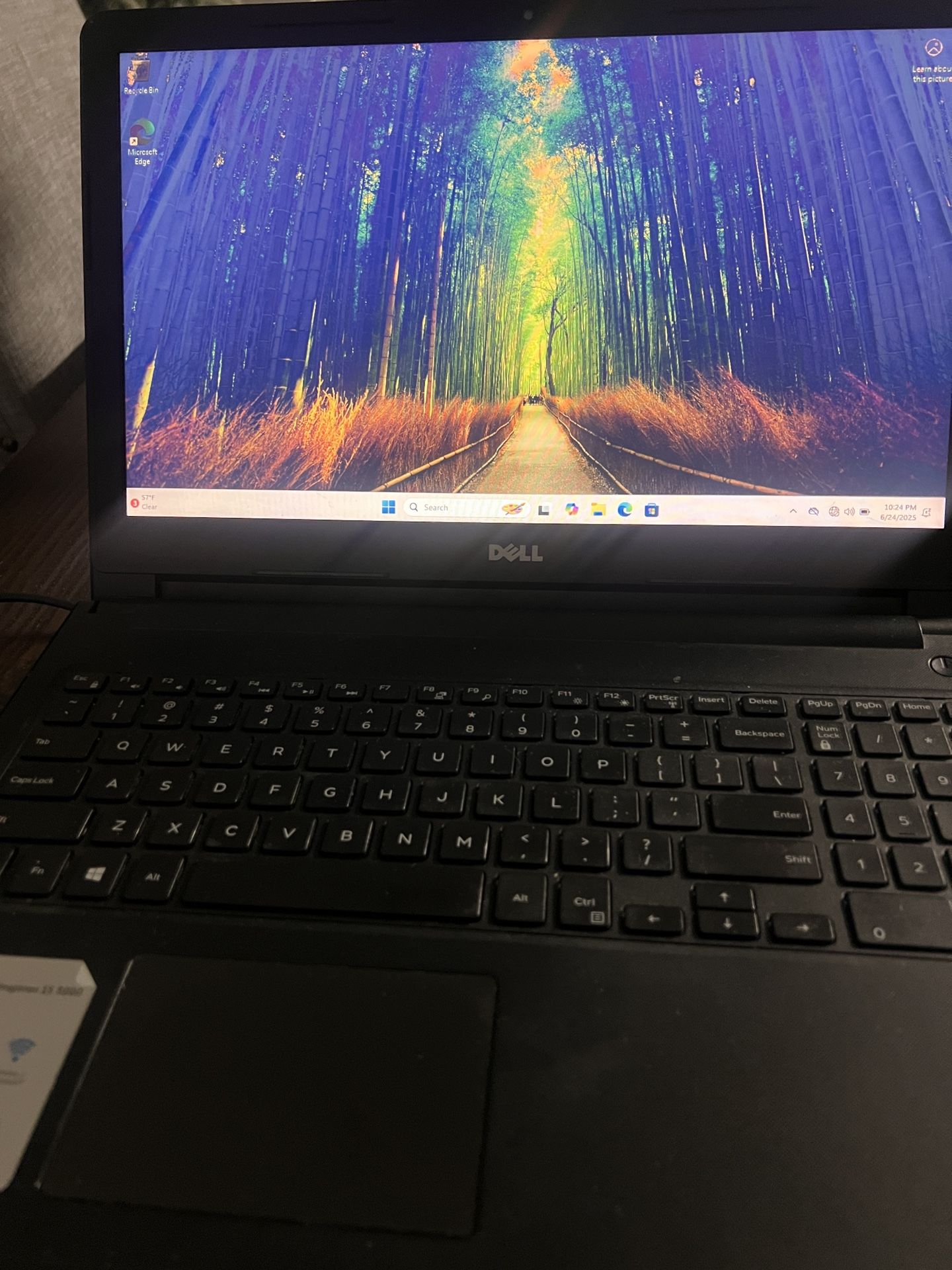 Dell Laptop 