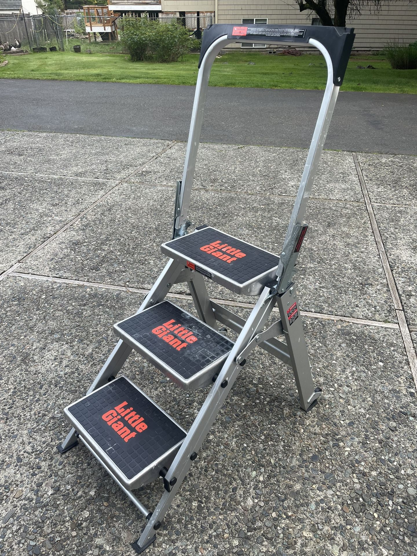 Little Giant Ladder