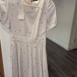 NWT Free People Dress, size 4