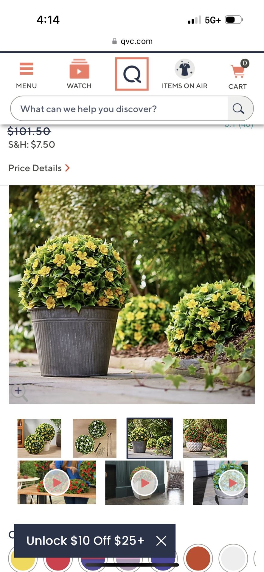 Wicker Park Set of (2) 21” Flower Blossom Indoor Outdoor Garden Spheres