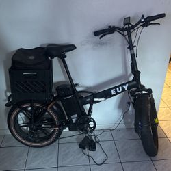 Euy Electric Bike 