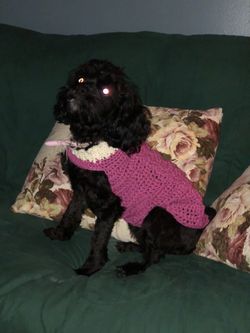 Crochet dog sweaters
