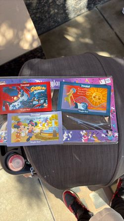 Disneyland license plate
