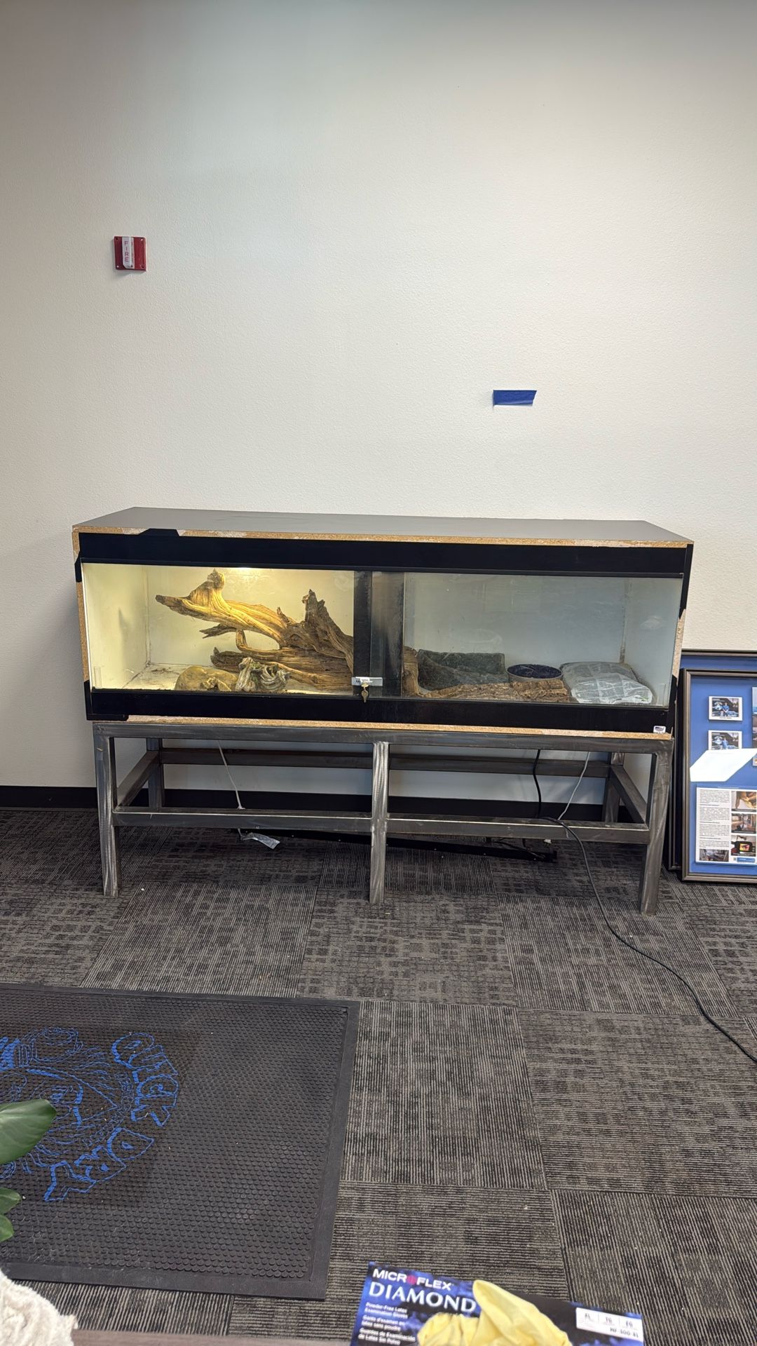 Large Reptile Tank W/ Accessories 