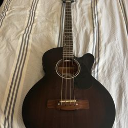 Acoustic Bass Guitar 