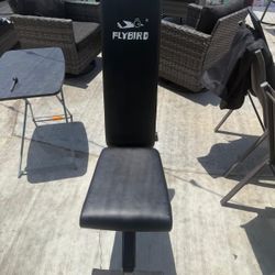 Flybird Collapsible Adjustable Weight Bench