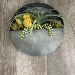Plant Decoration 
