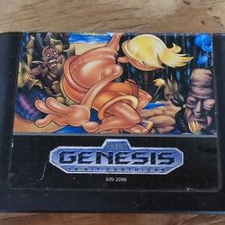 Sega Genesis Video Game Cartridge
