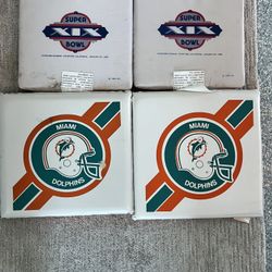 Miami Dolphins Super Bowl  Seat Cushions