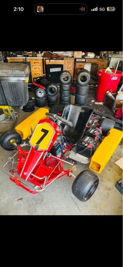 RACE CART ELECTRIC