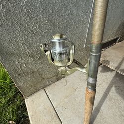 Fishing Pole &  Reel