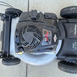 Murray/Briggs And Stratton Mower