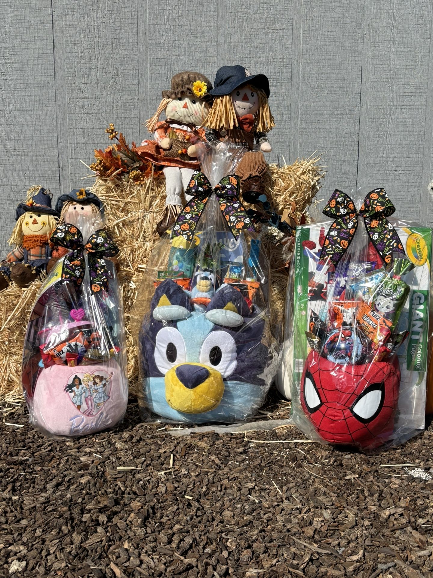 Kids Halloween Boo Basket~ Visalia