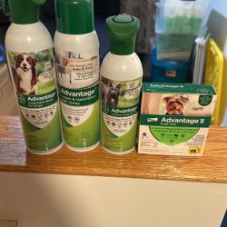 Advantage Carpet Flea And Spot Remover Treatment