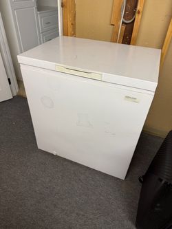 Kirkland Signature freezer chest