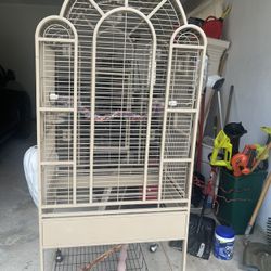 Bird Cage 