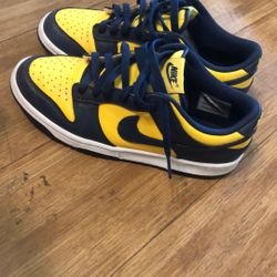 Nike Dunk Michigan 