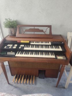 Organ