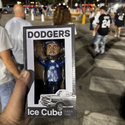 Ice Cube Bobble Head