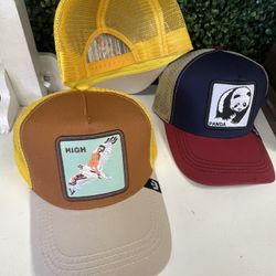 Animal Hats