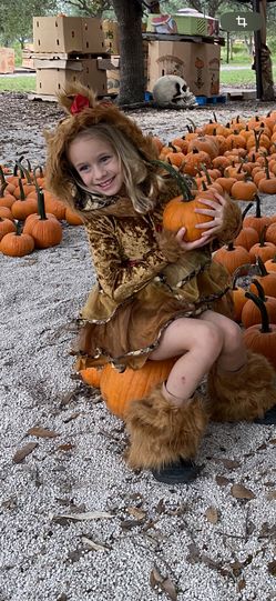 Costume lion