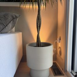 Mid Century West Elm Planter