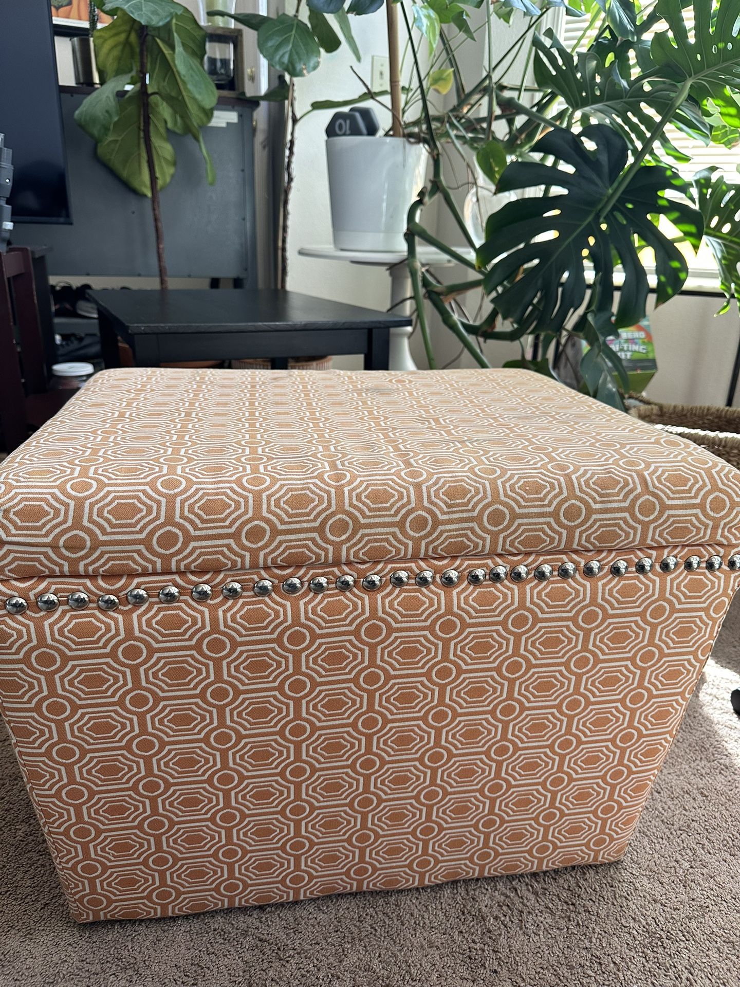 Ottoman With Storage