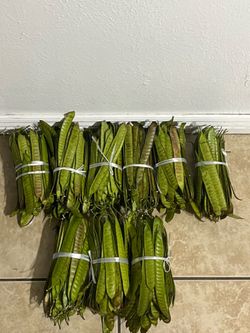 A whole bunch of plants for sale
