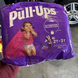 Pull Ups 2t-3t $7