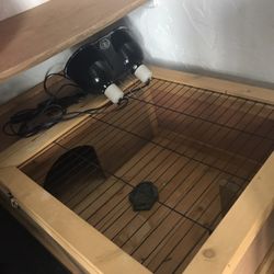 Tortoise House -wooden
