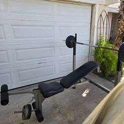 Weight Bench + Punching Bag