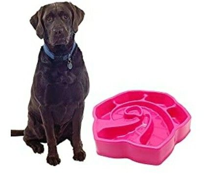Slow Feeders Bowl