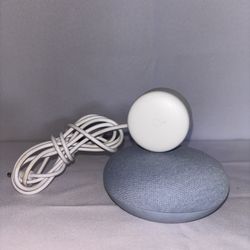 Google Home Mini