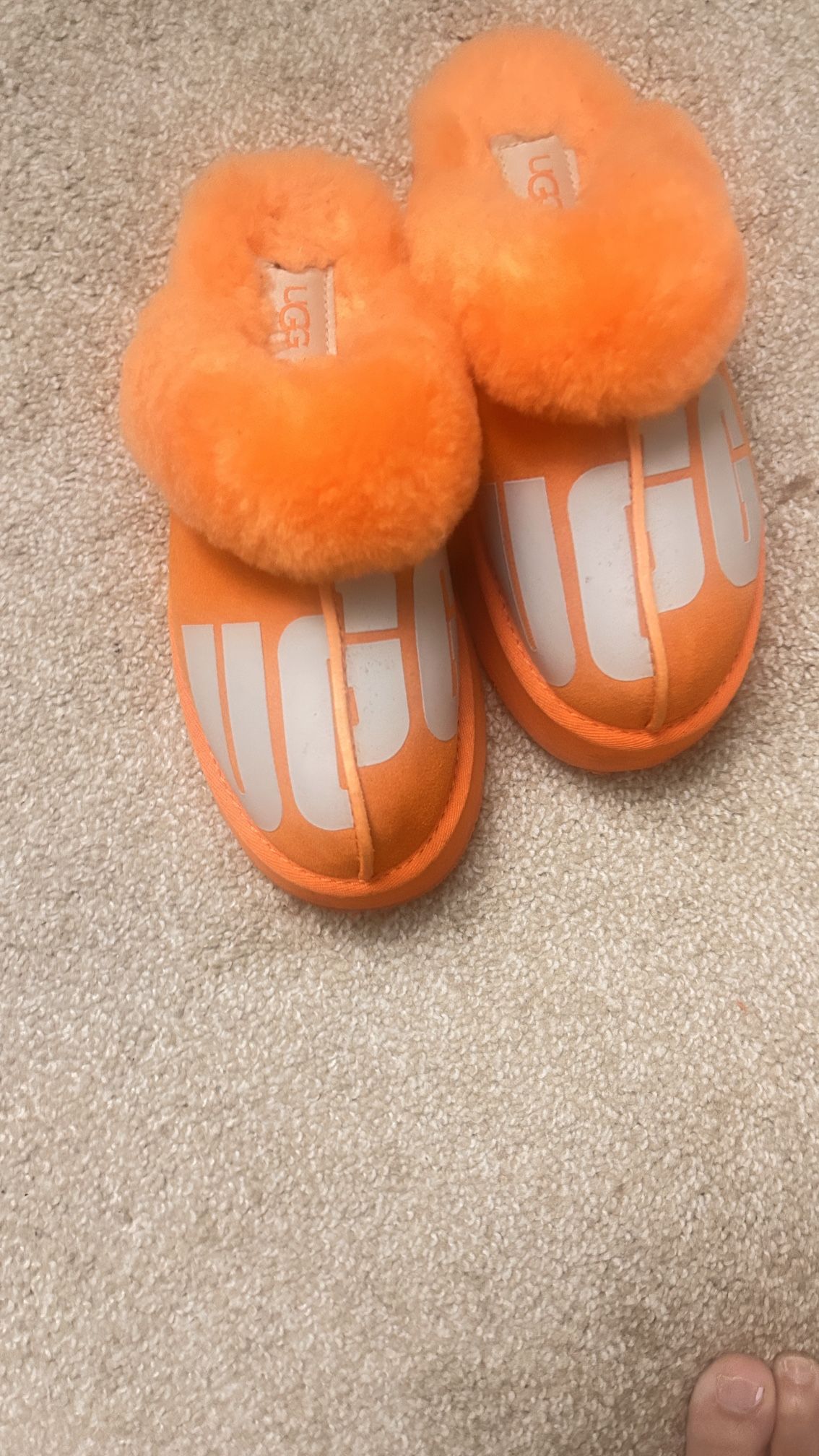 UGG PLATFORM Disquette