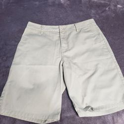 Mens Ripcurl Shorts Size 33